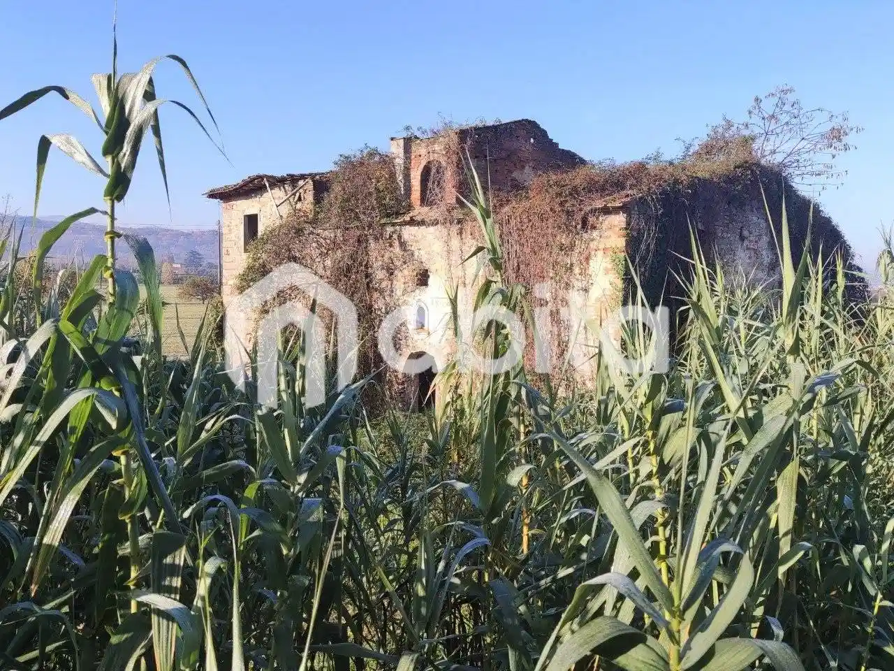 Rustico via campagna, Levanella, Montevarchi - foto 2