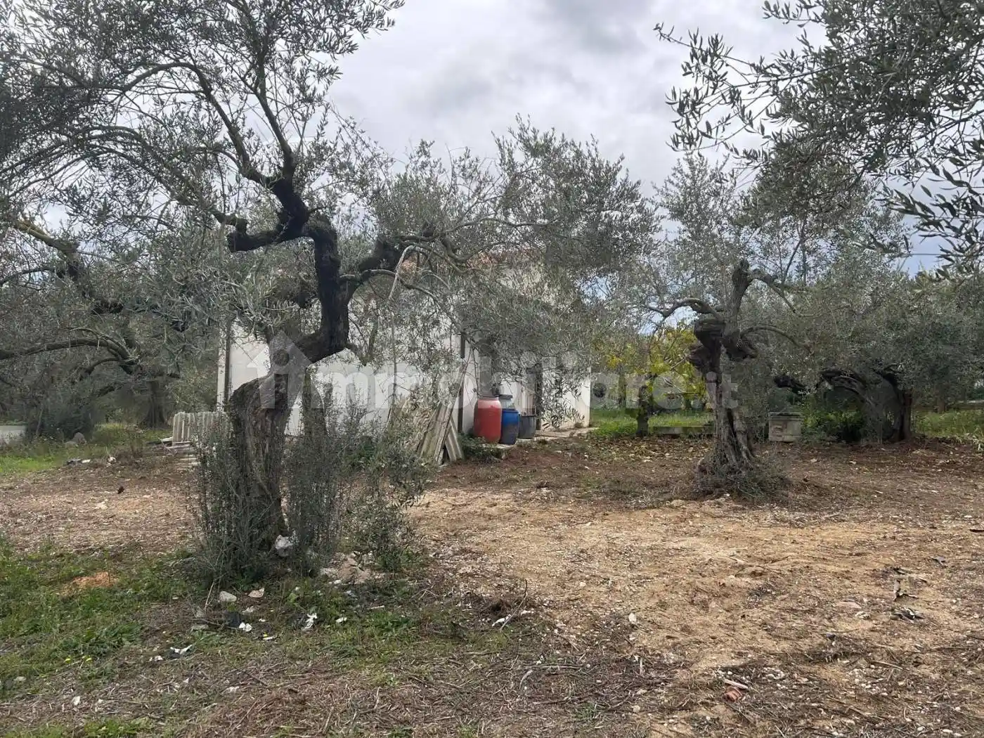 Rustico - Casale - foto 3