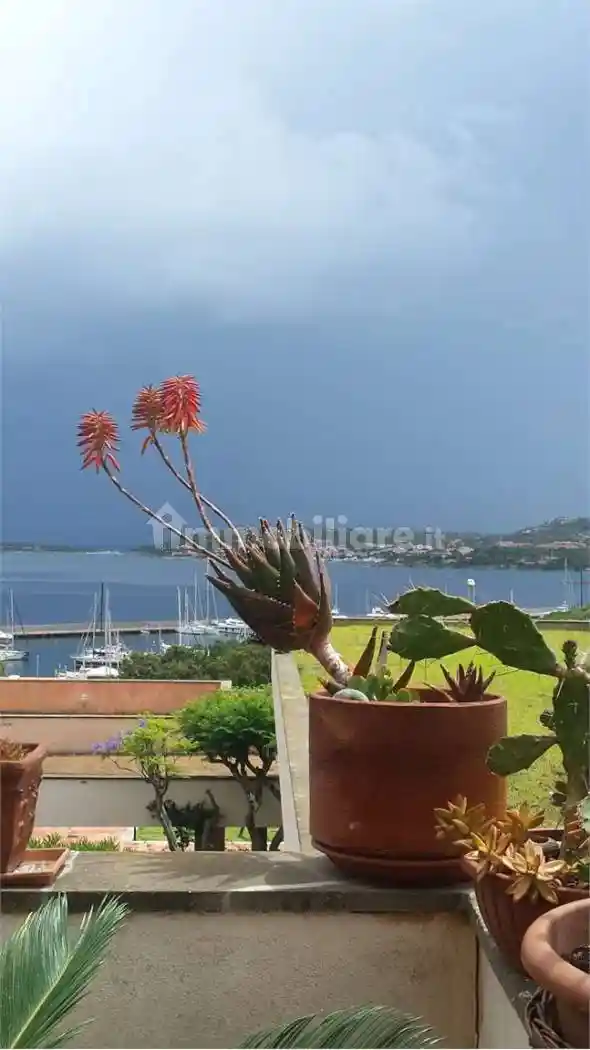 Trilocale ottimo stato, primo piano, Portisco, Olbia - foto 3