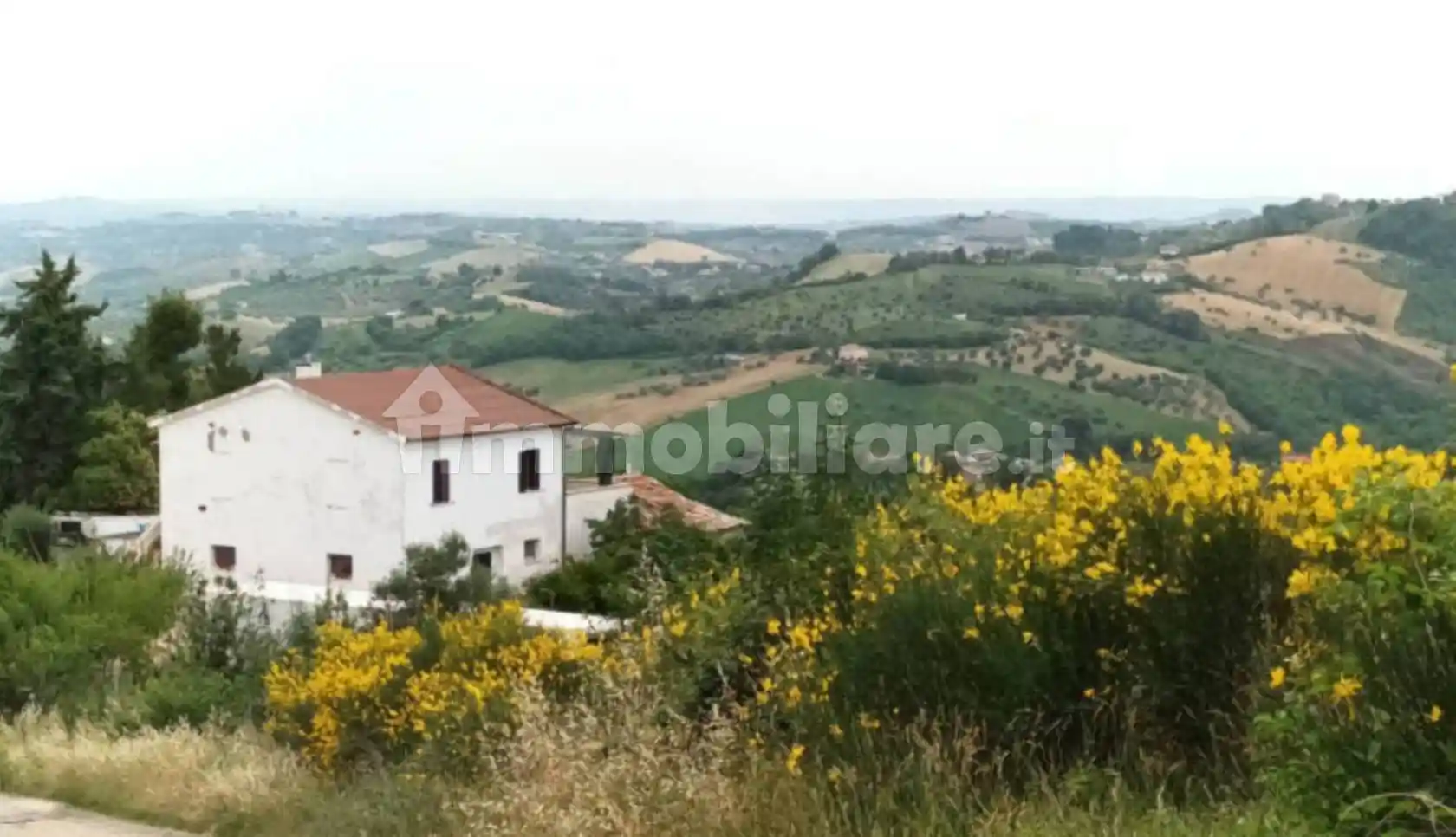 Rustico - casale all'asta Contrada Pagliari 5, Penne - foto 4