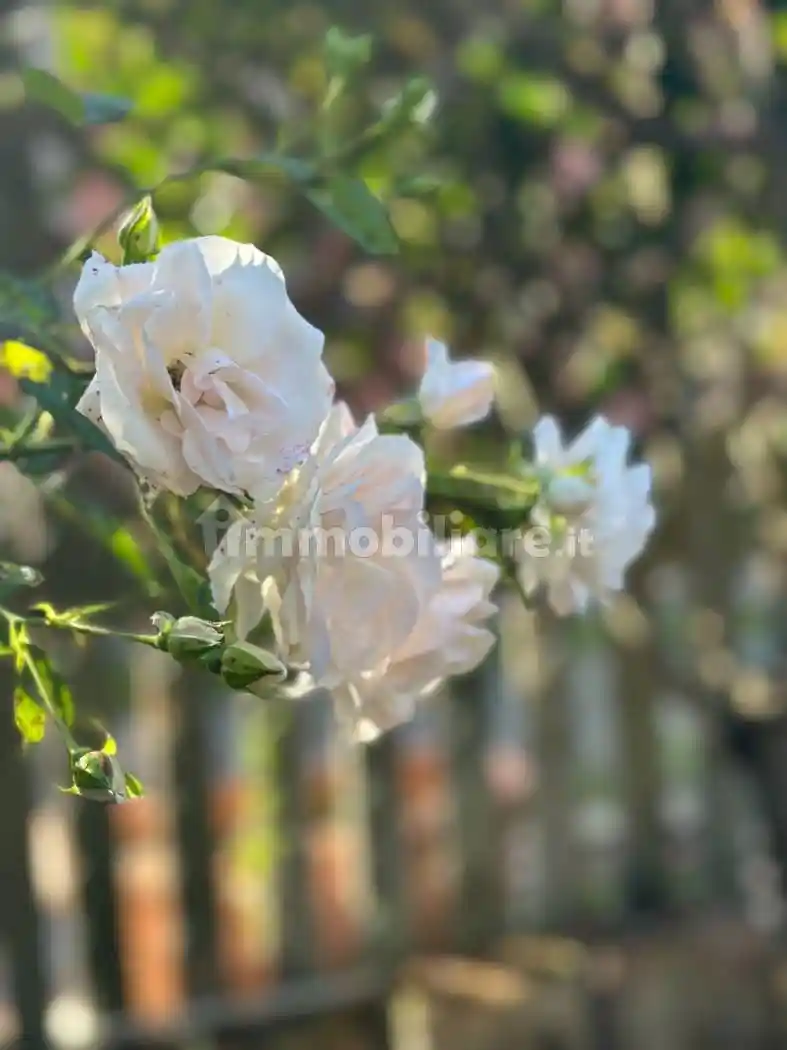 Villa a schiera 4 locali, buono stato, Valle Santa, Roma - foto 5