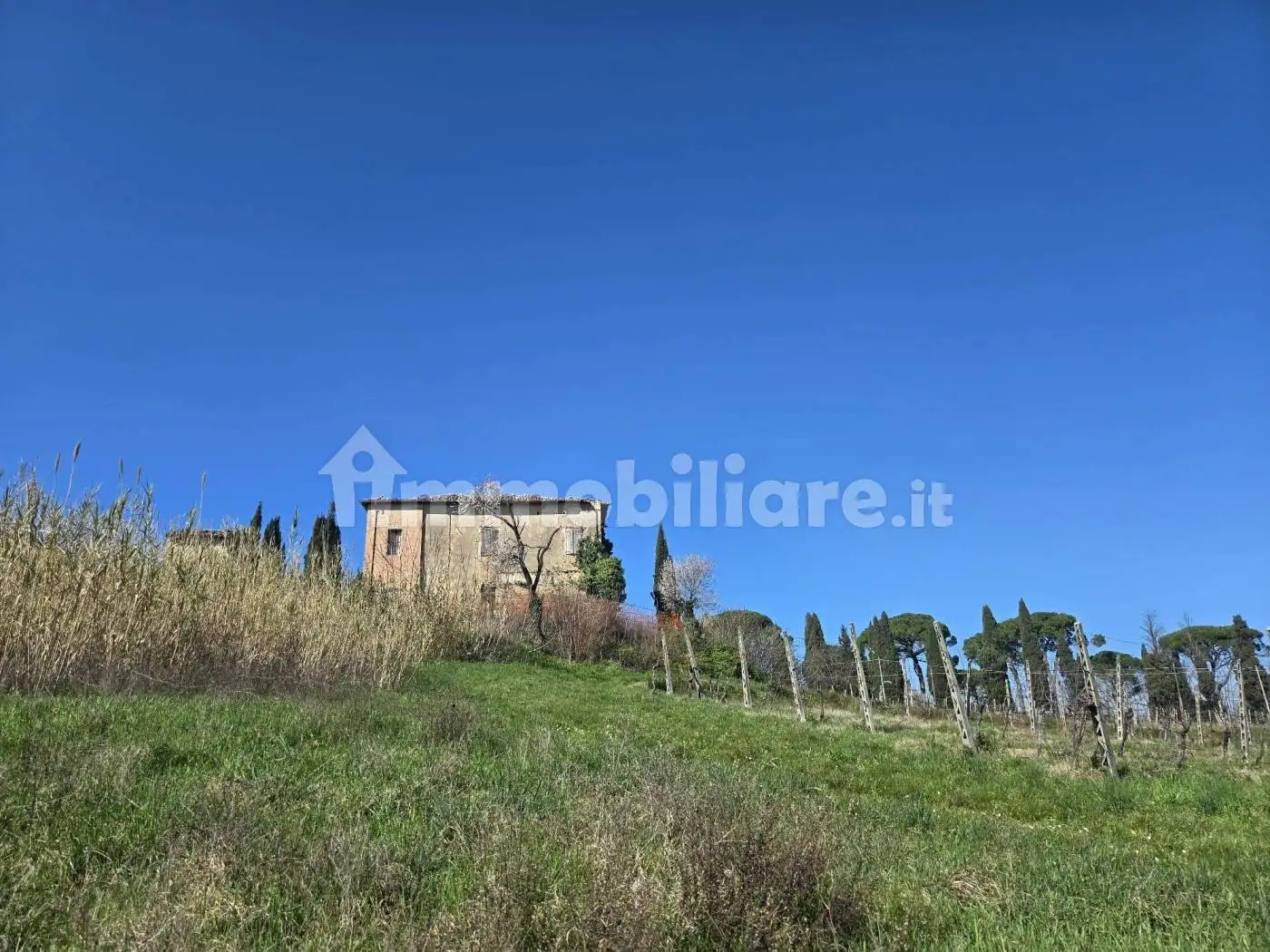 Casa colonica via Consolare, Centro, Bertinoro - foto 5