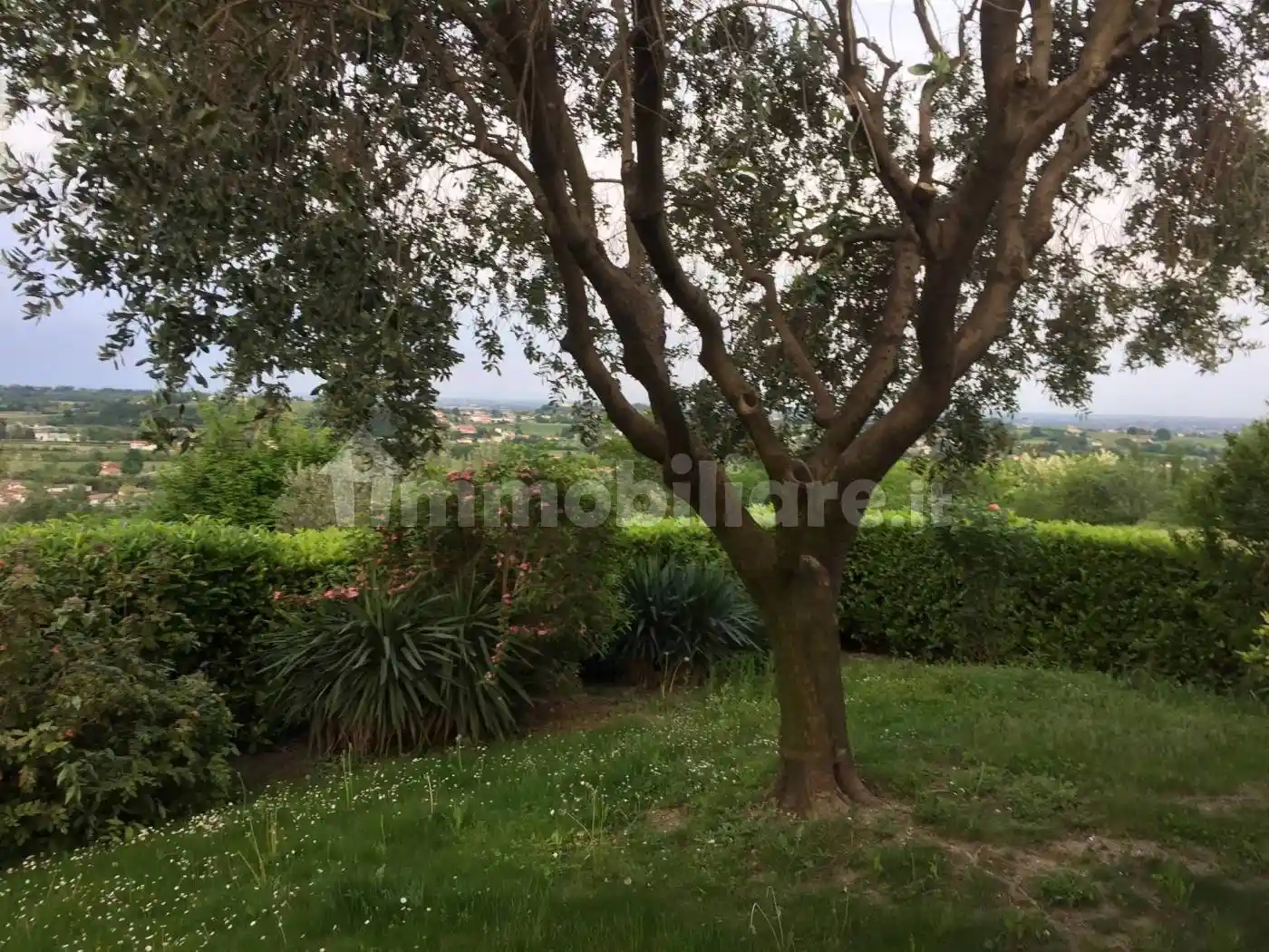 Villa unifamiliare, buono stato, 220 m², Ogliano, Conegliano - foto 3