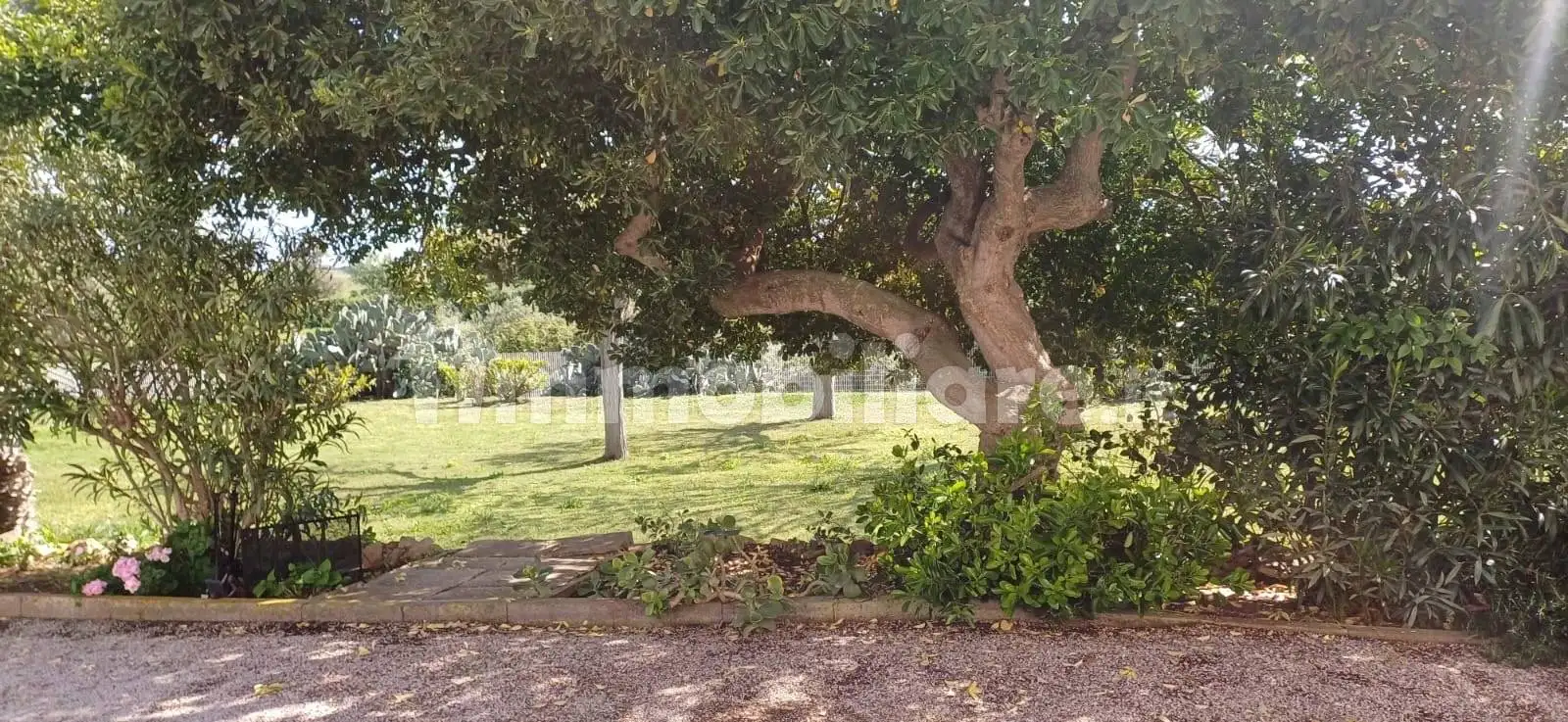 Rustico - Casale in vendita a Capalbio