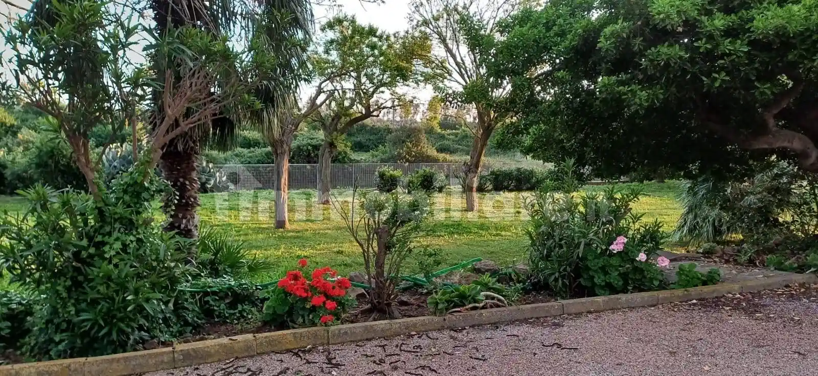 Casale, buono stato, 80310 m², Capalbio - foto 3