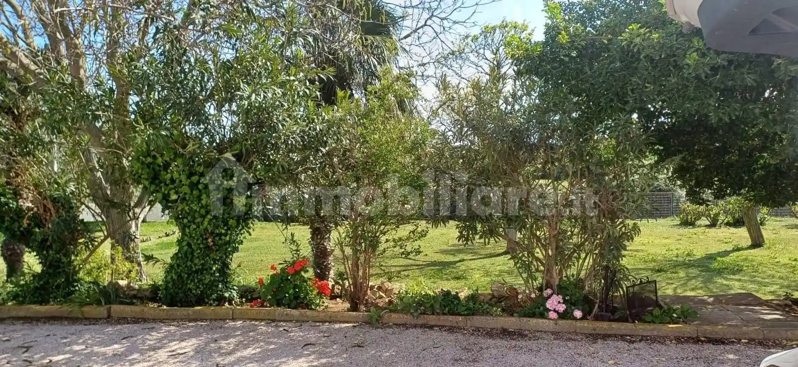 Casale, buono stato, 80310 m², Capalbio - foto 4