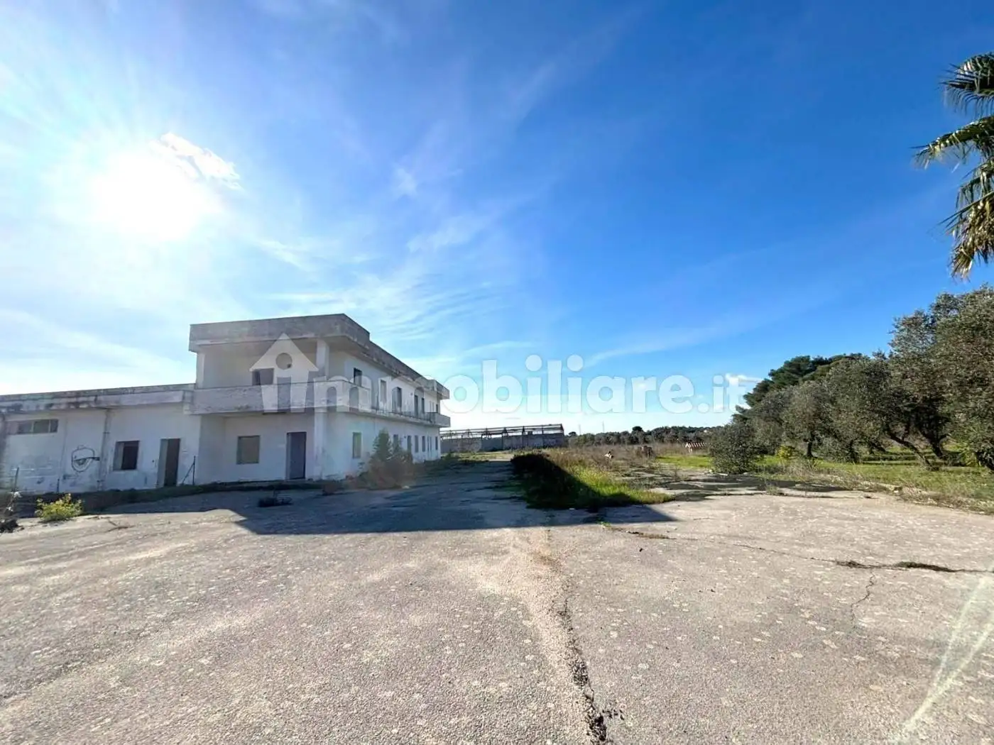 Palazzo - Edificio in Vendita - foto 3