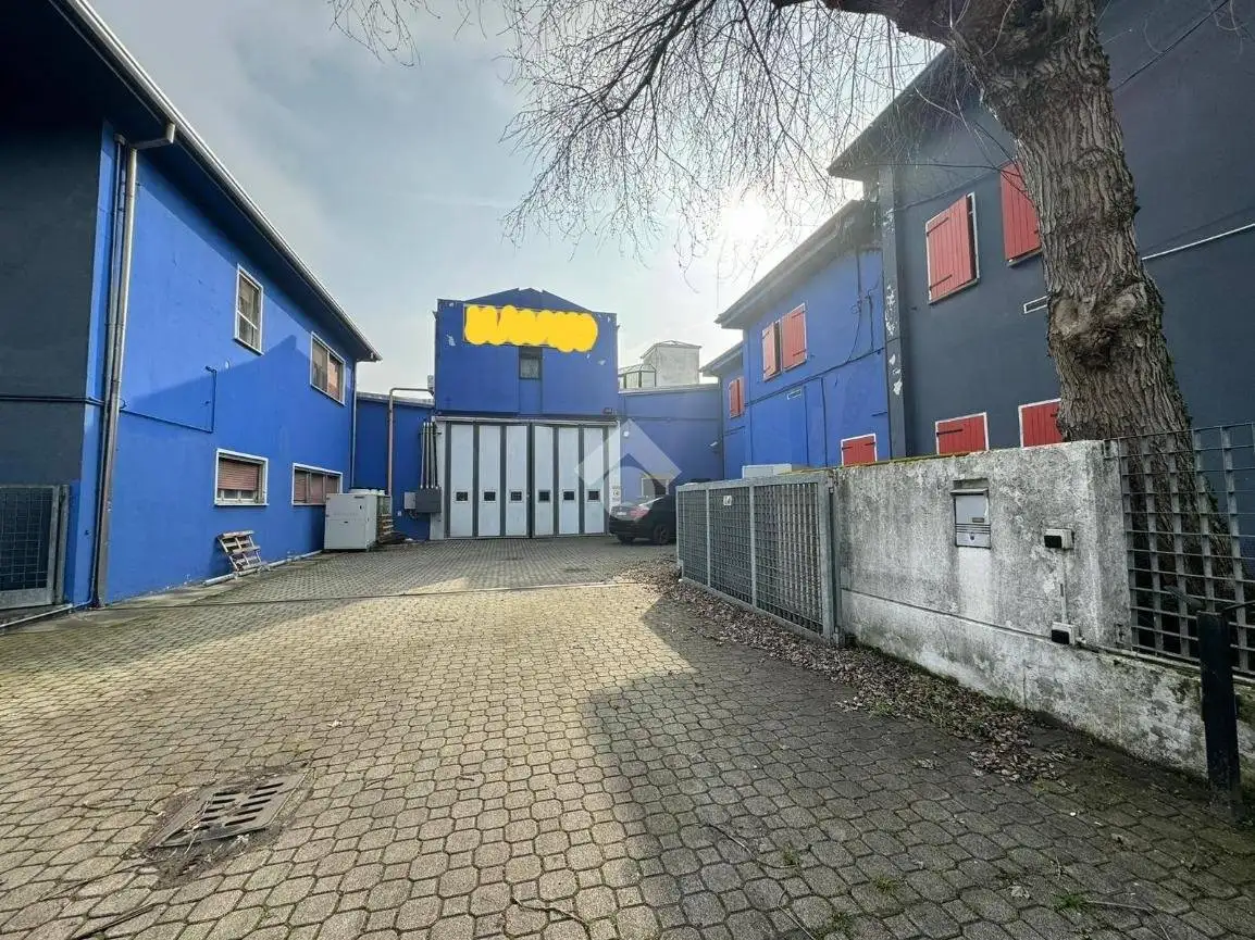 Appartamento in affitto a San Giorgio Bigarello