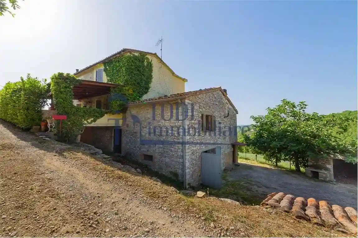 Rustico - Casale - foto 4