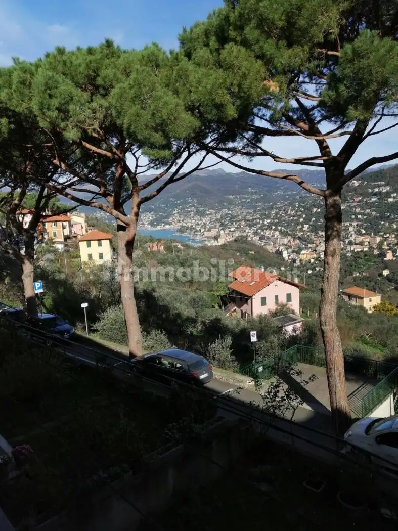 Quadrilocale via Franco Molfino 83, San Rocco, Camogli - foto 2