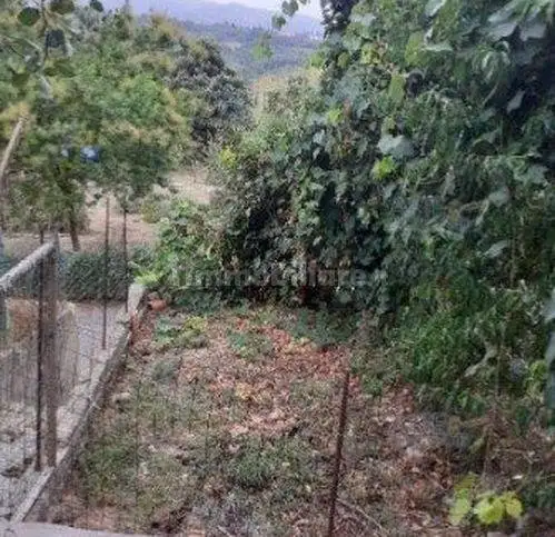 Villa in asta a Capannoli