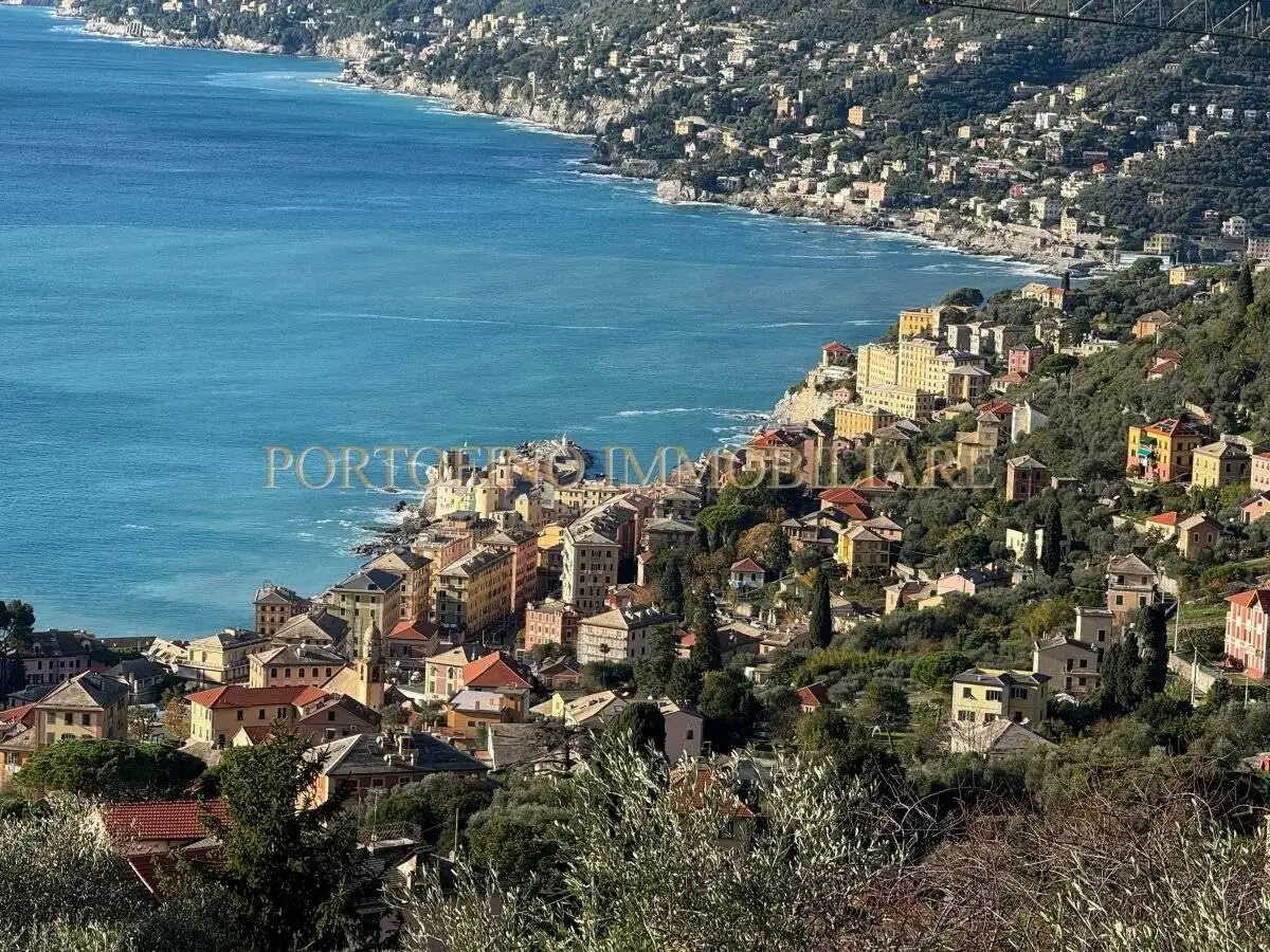 Rustico - Casale in affitto a Camogli