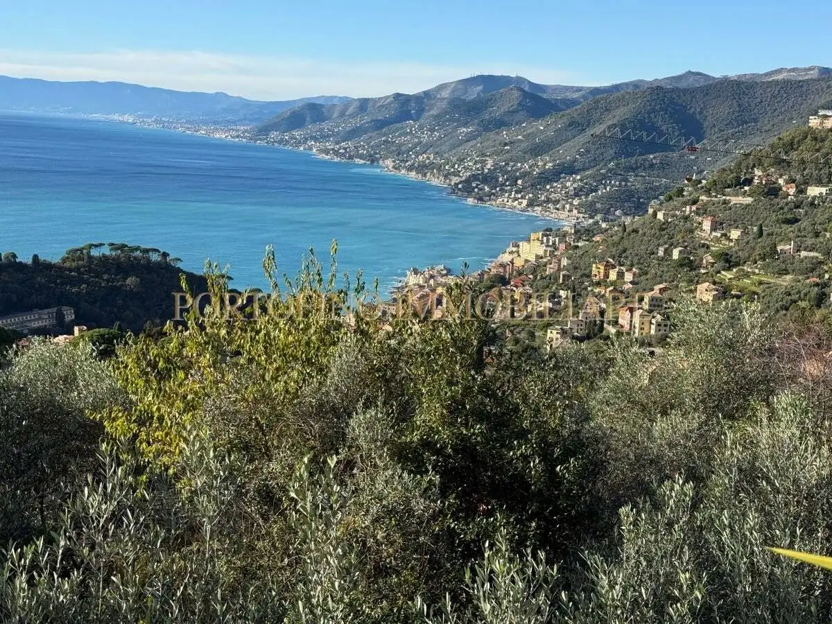 Casale via Aurelia, Ruta, Camogli - foto 3