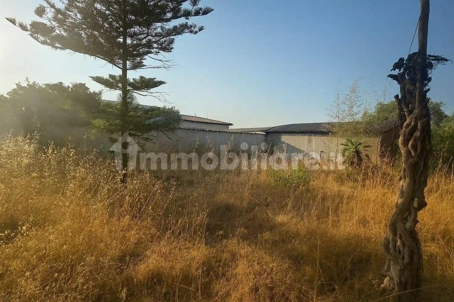 Villa unifamiliare via Bellegra 10, Loricina, Seccia, Tre Cancelli, Nettuno - foto 5