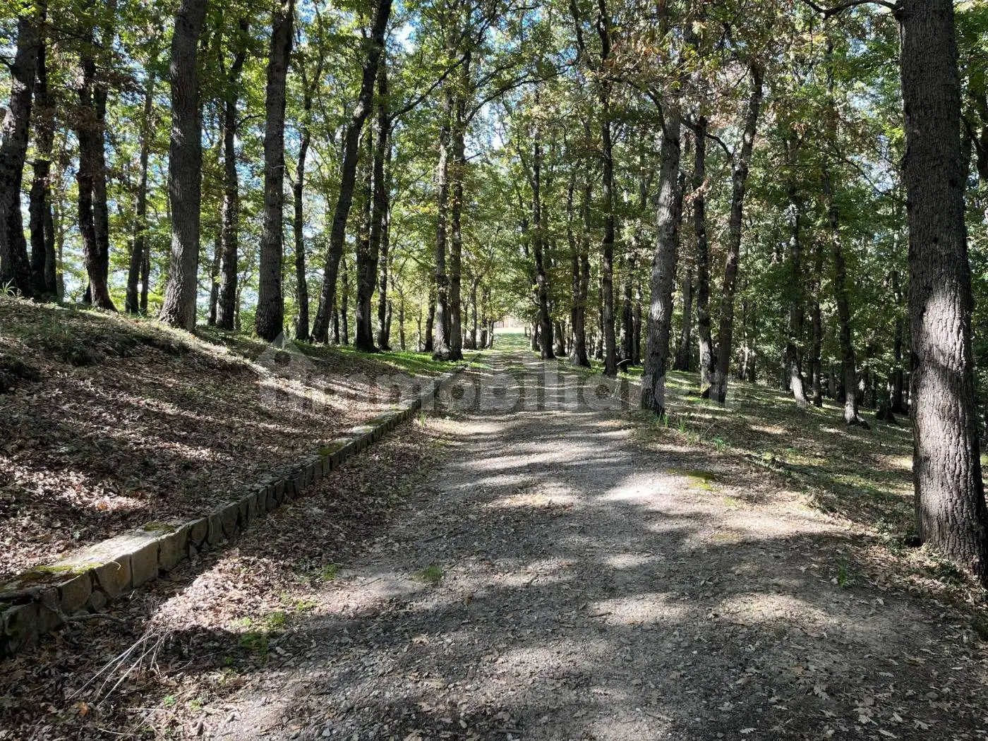 Casale Strada Provinciale 168, Marina Di Caronia, Caronia - foto 5