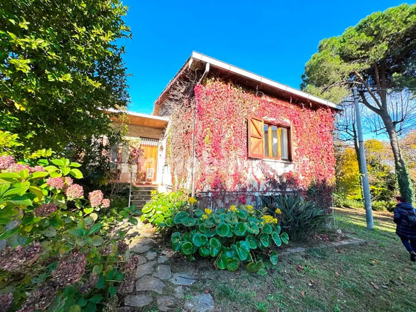 Villa in vendita a Velletri