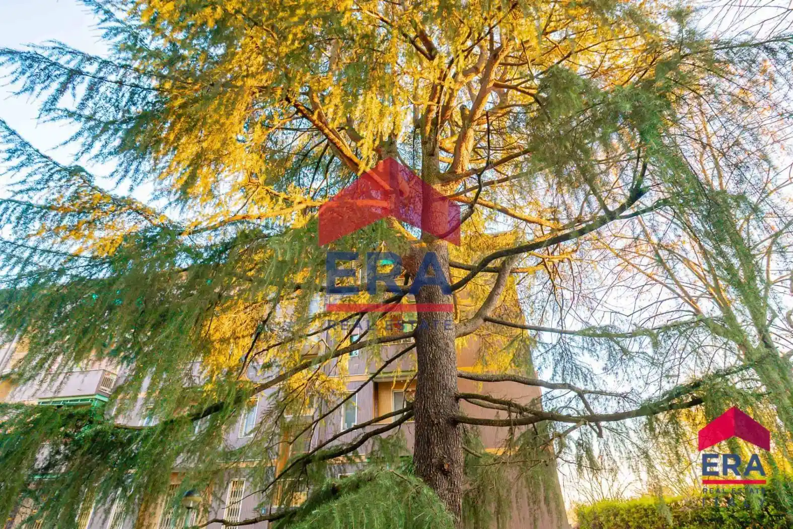 Trilocale via Ravenna 48, Corvetto, Milano - foto 5