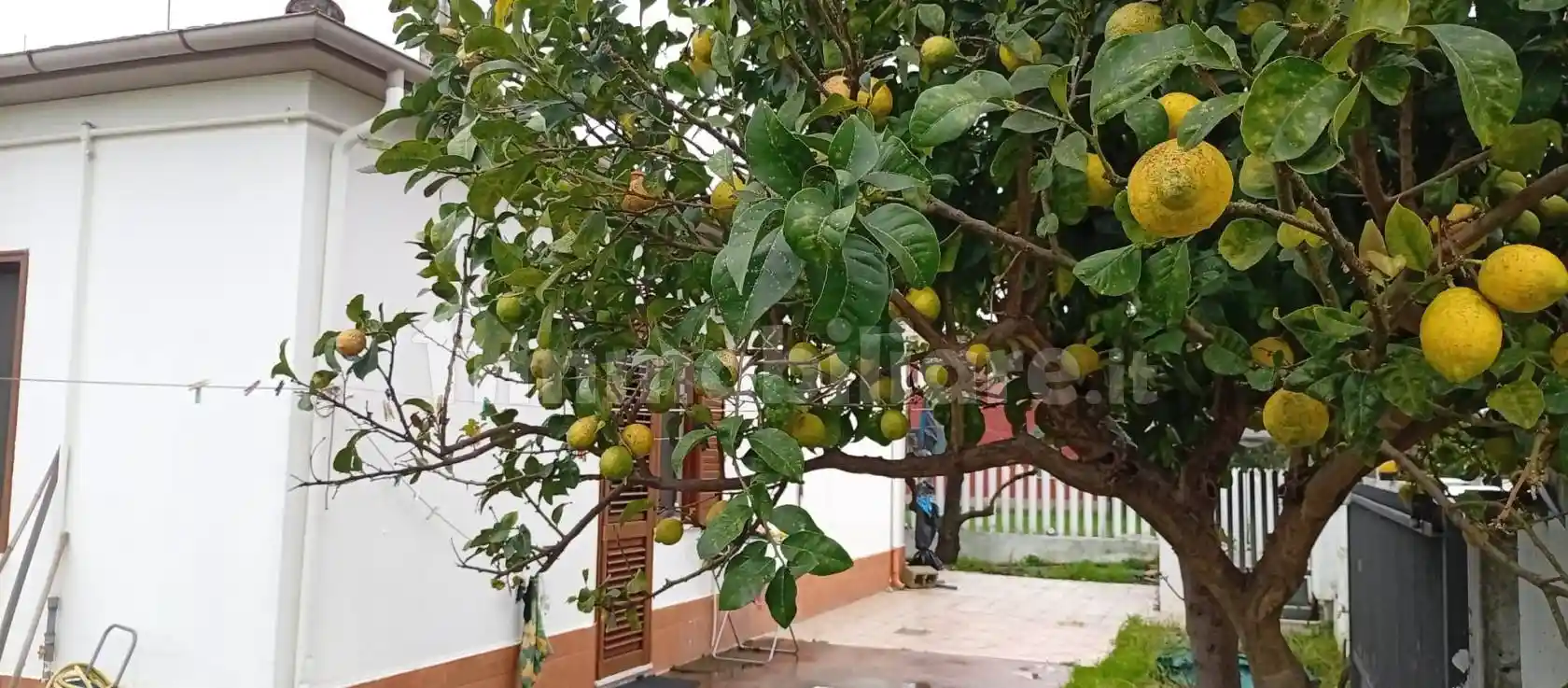 Villa unifamiliare via Pietro Mascagni 22, Villa Carmine, Montesilvano - foto 2