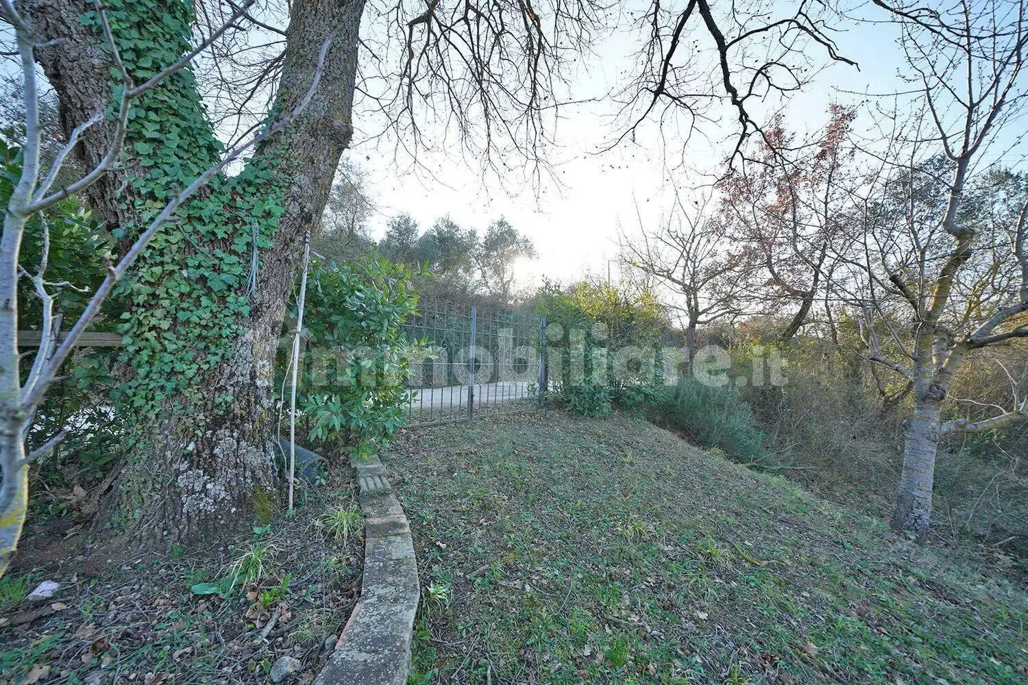 Cascina Loc. Fonte Del Salcio No Number, Cinigiano - foto 5