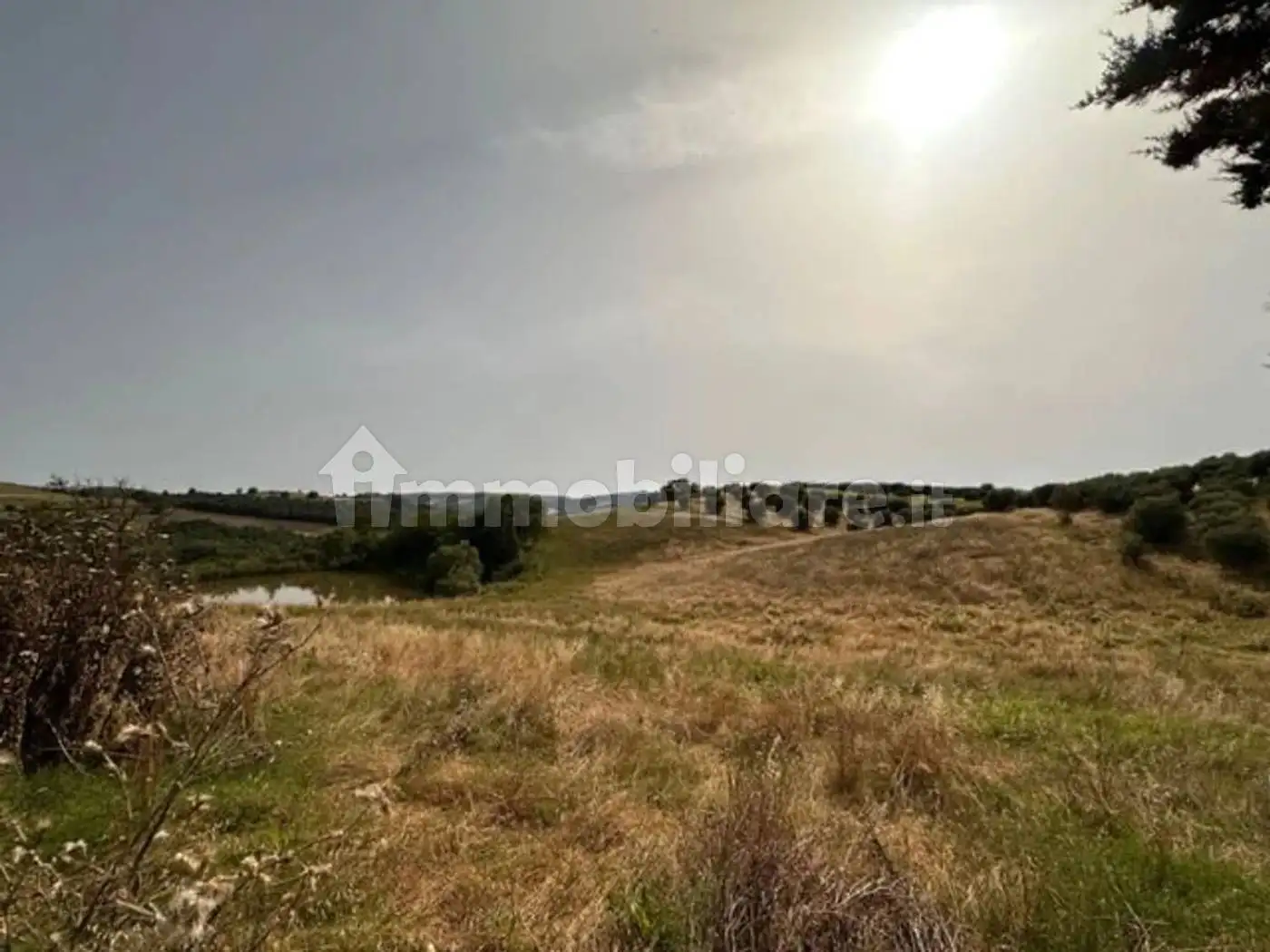 Cascina Santa Rita No Number, Cinigiano - foto 5