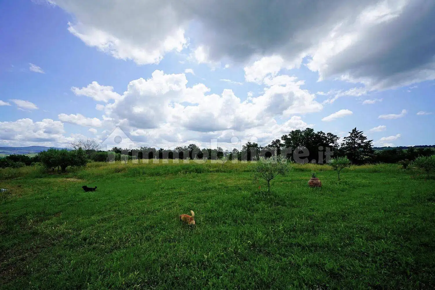 Villa unifamiliare via Sforzesca No Number, Castell'Azzara - foto 2