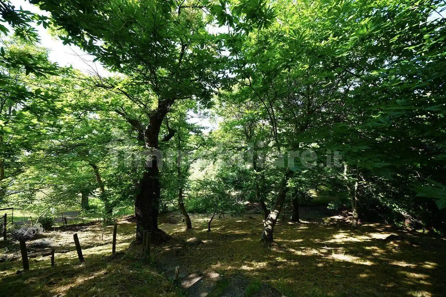 Villa unifamiliare Loc. Pian Del Ballo No Number, Pian Del Ballo, Castel del Piano - foto 2