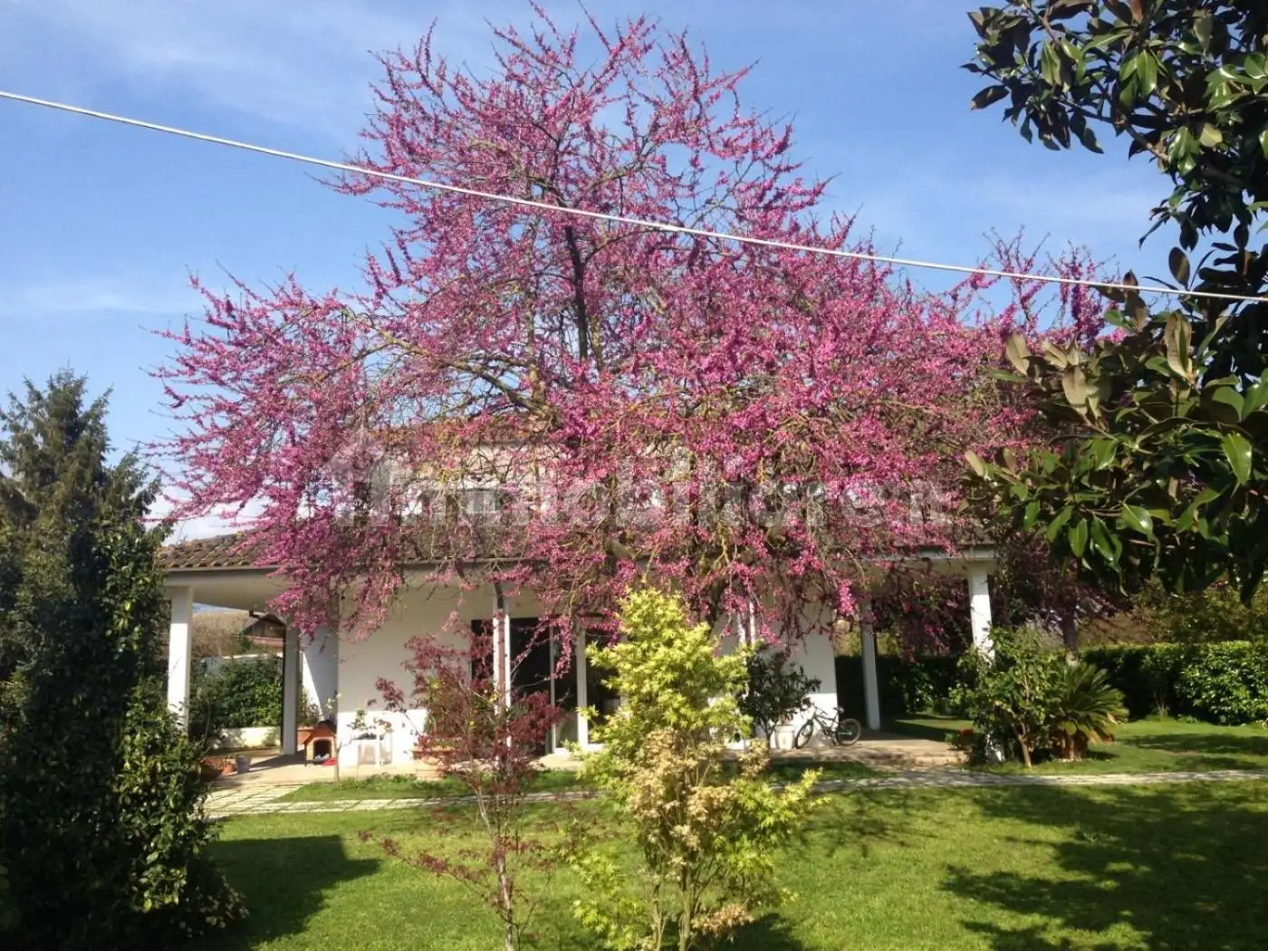 Villa in vendita a Latina