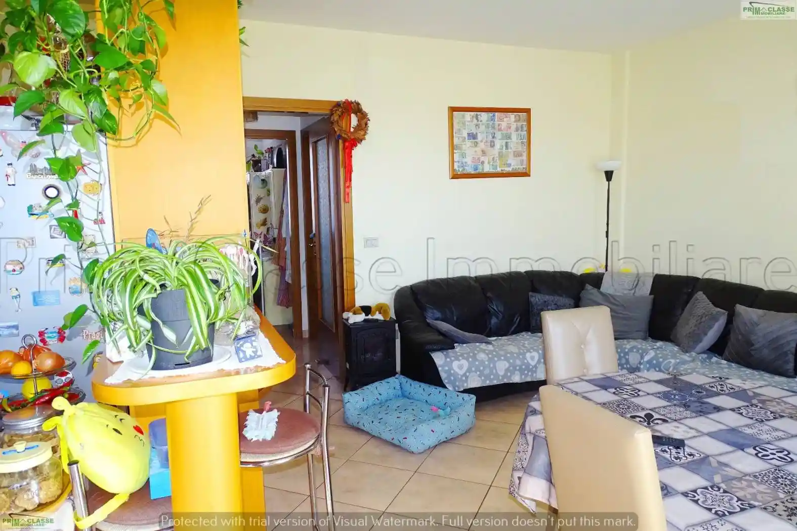 Trilocale via Danubio, Villa Carmine, Montesilvano - foto 3