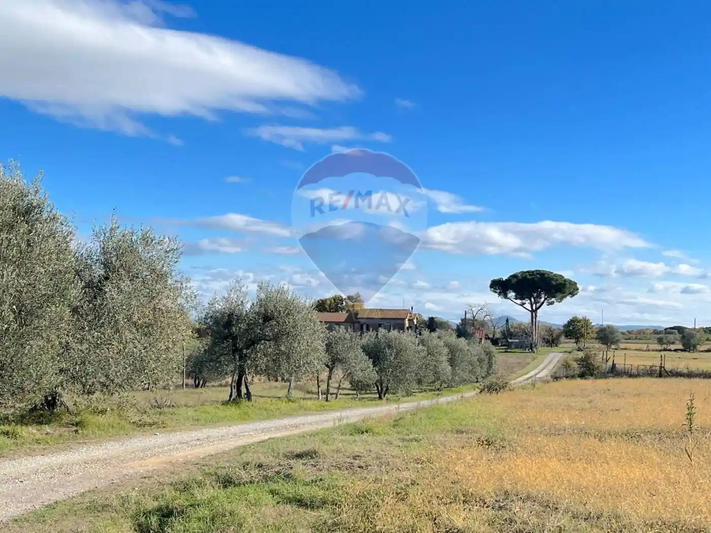Rustico Loc. Croce 73, Piana, Castiglione del Lago - foto 5
