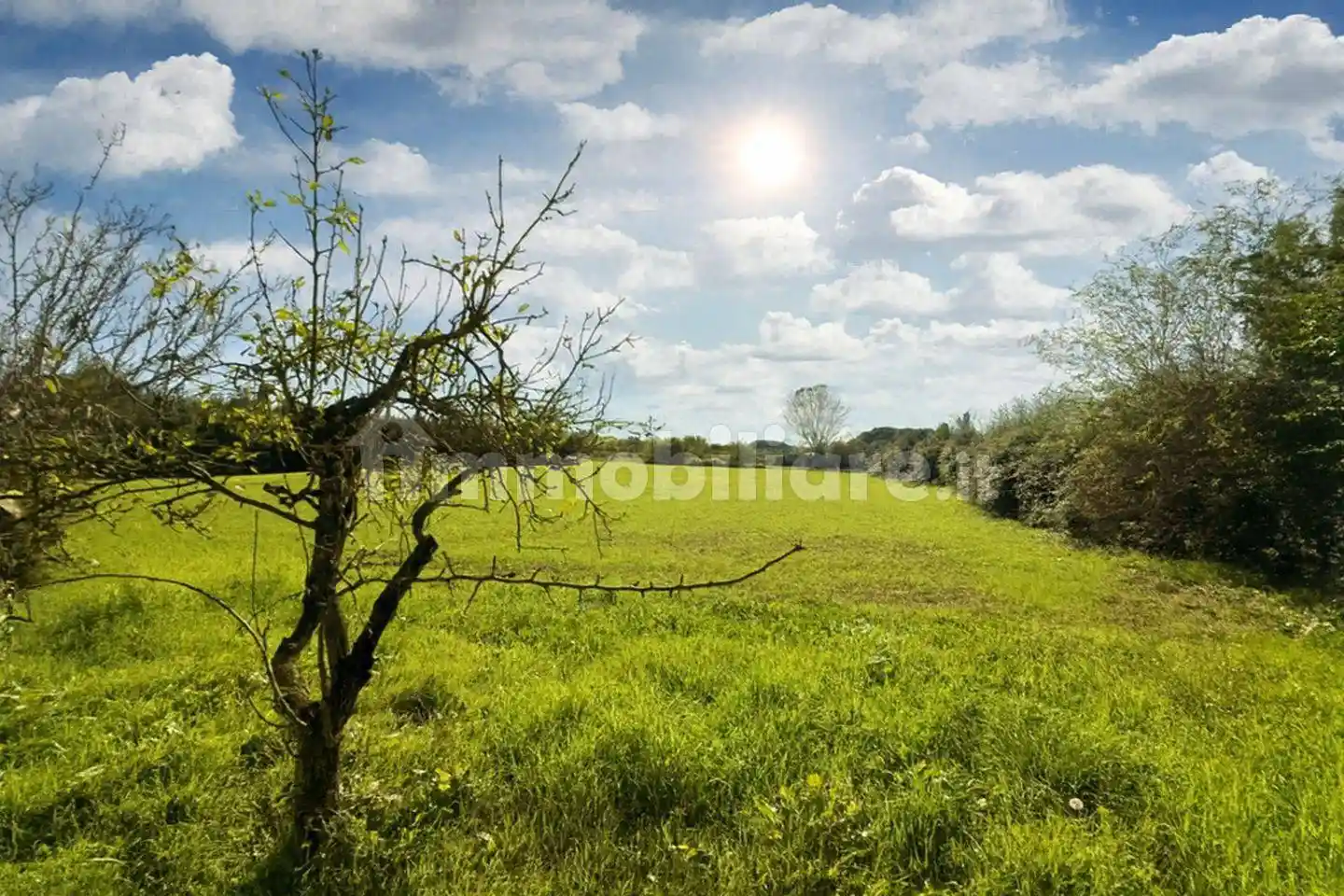 Rustico, da ristrutturare, 160 m², Le Casine Perignano Spinelli, Casciana Terme Lari - foto 4