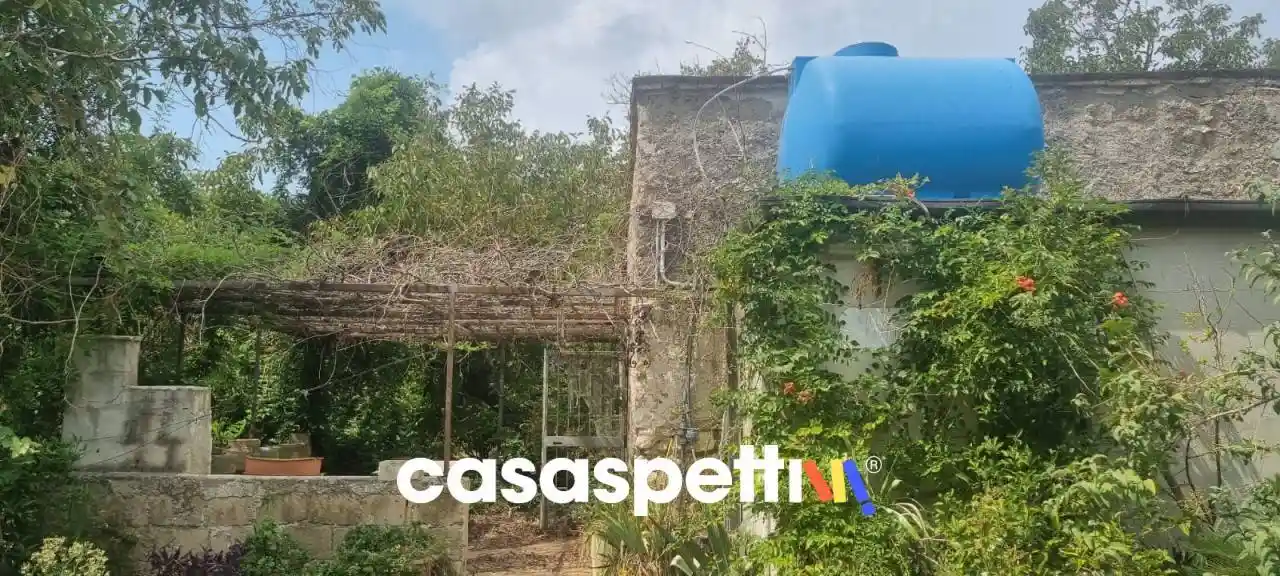 Rustico via san francesco, Avella - foto 2