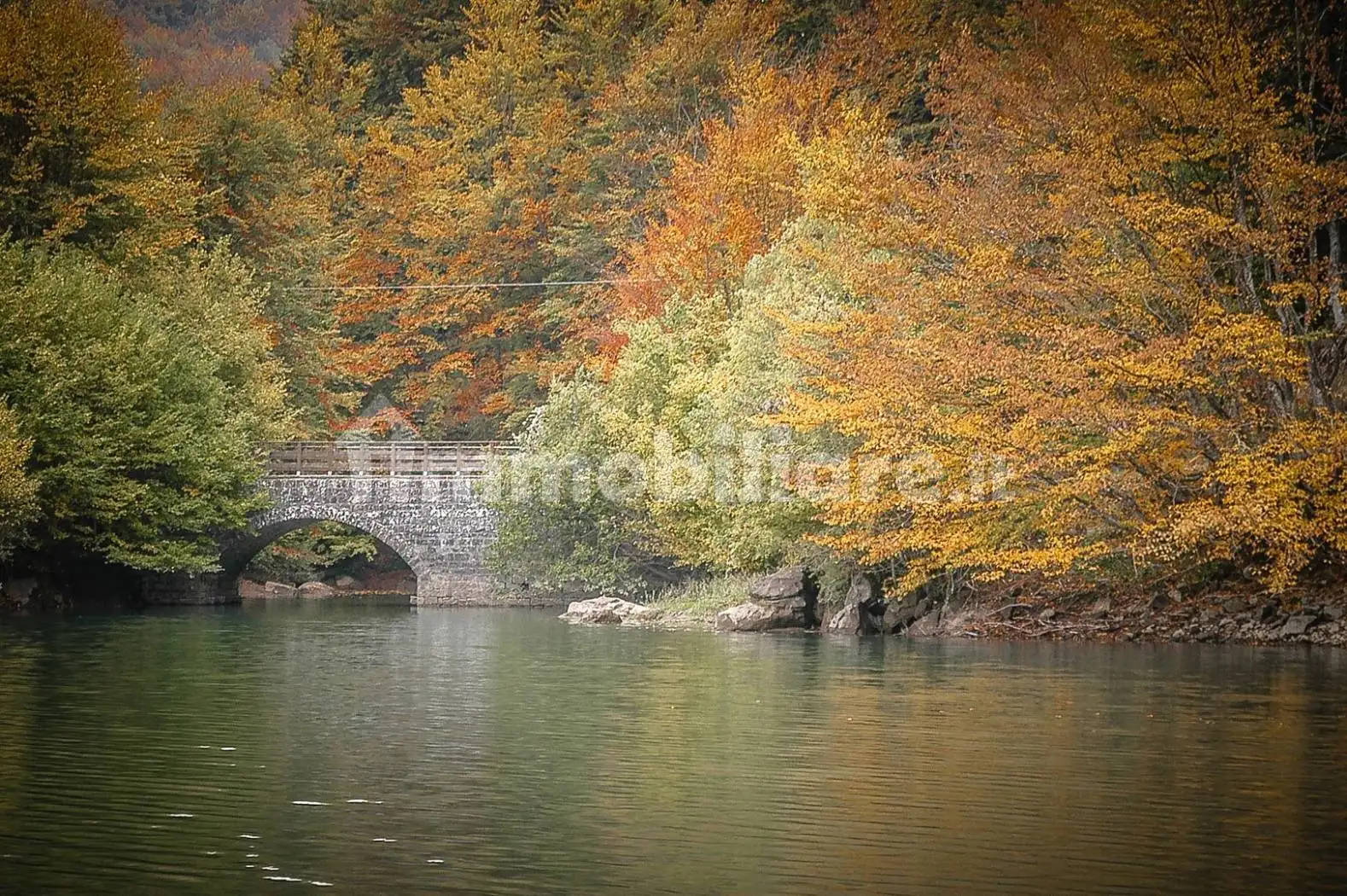 Appartamento in vendita a Sasso Marconi