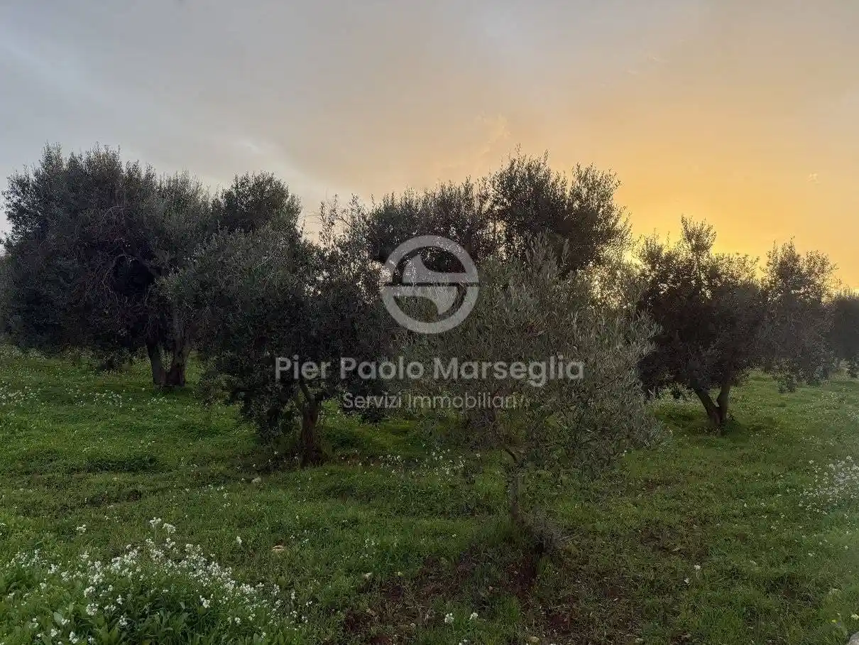 Trullo Contrada Montelamorte, Campanile, Fumarola, Cavalleriza, Ostuni - foto 2