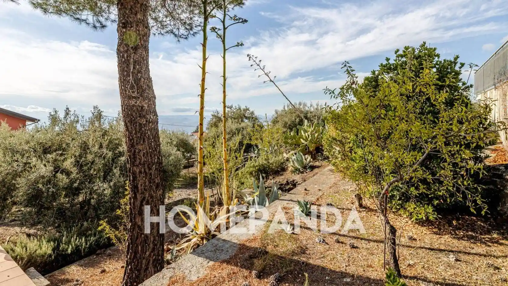 Villa unifamiliare Strada Chiesa, Santa Maria di Licodia - foto 4