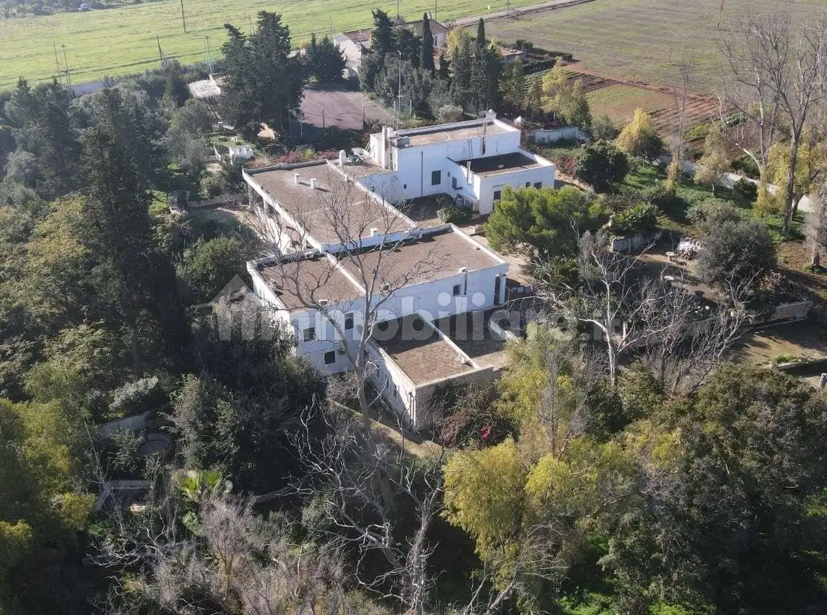 Masseria Contrada Scianolecchia, Carovigno - foto 2