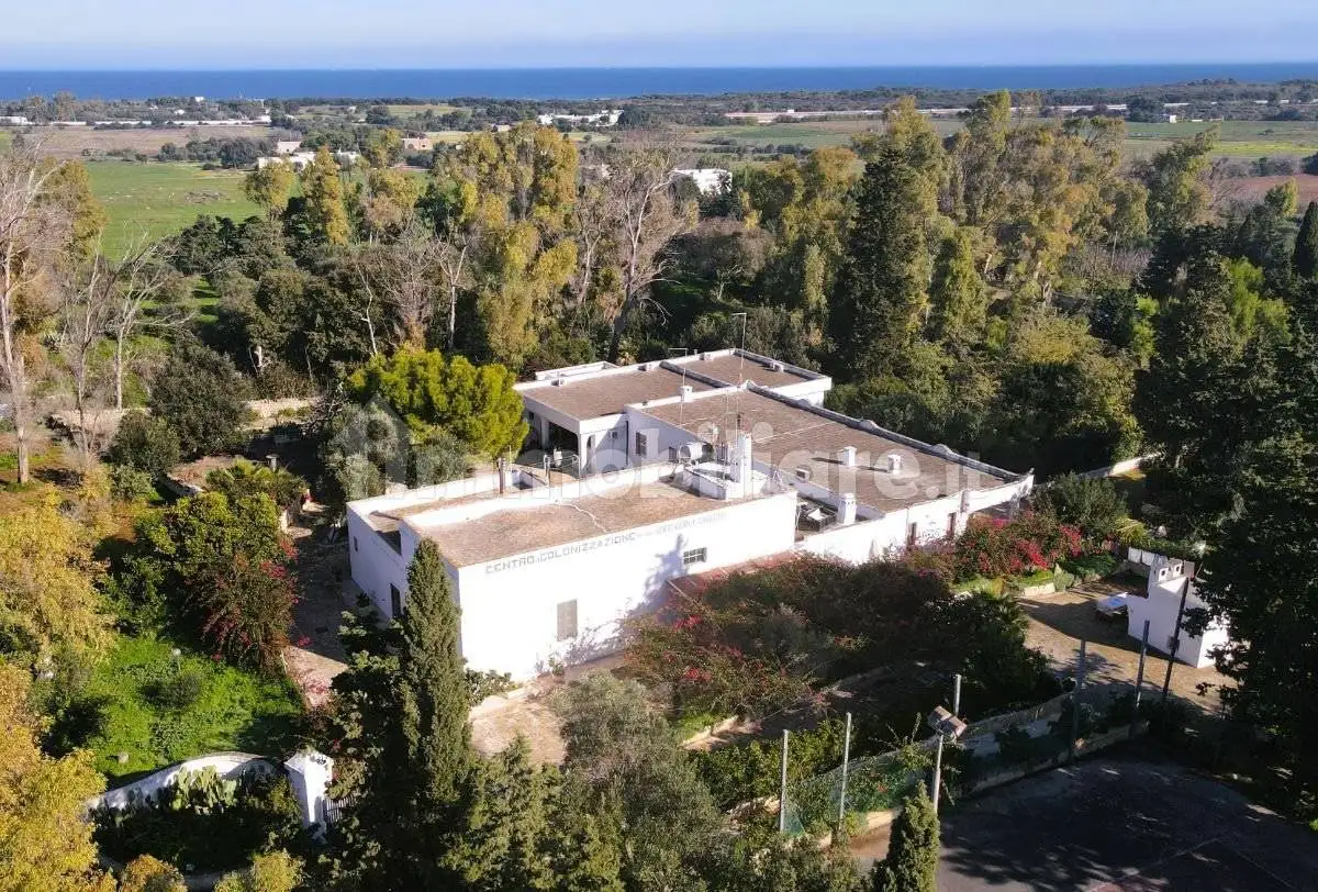 Masseria Contrada Scianolecchia, Carovigno - foto 3