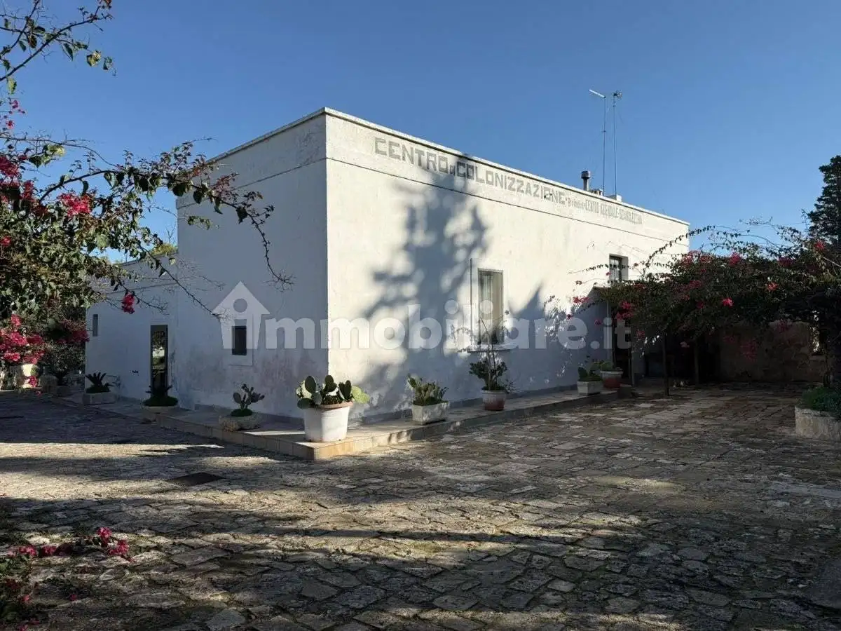 Masseria Contrada Scianolecchia, Carovigno - foto 4