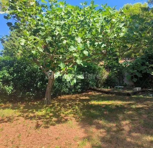 Villa in vendita a Ancona