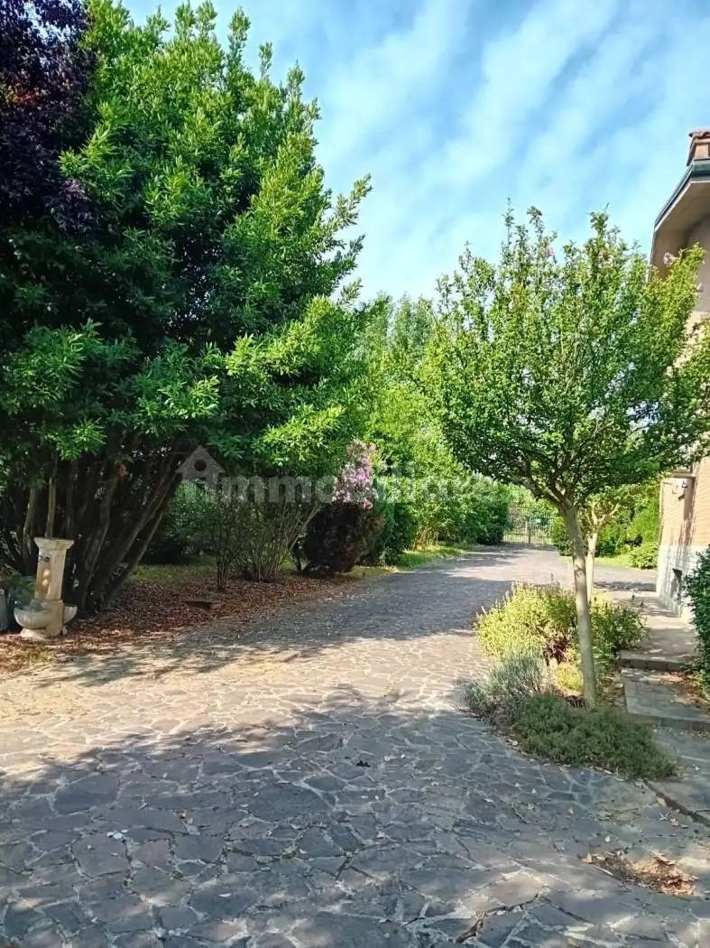 Villa unifamiliare via Statale, Solignano Nuovo, Castelvetro di Modena - foto 5