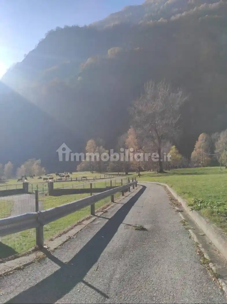 Palazzo - Edificio - foto 4