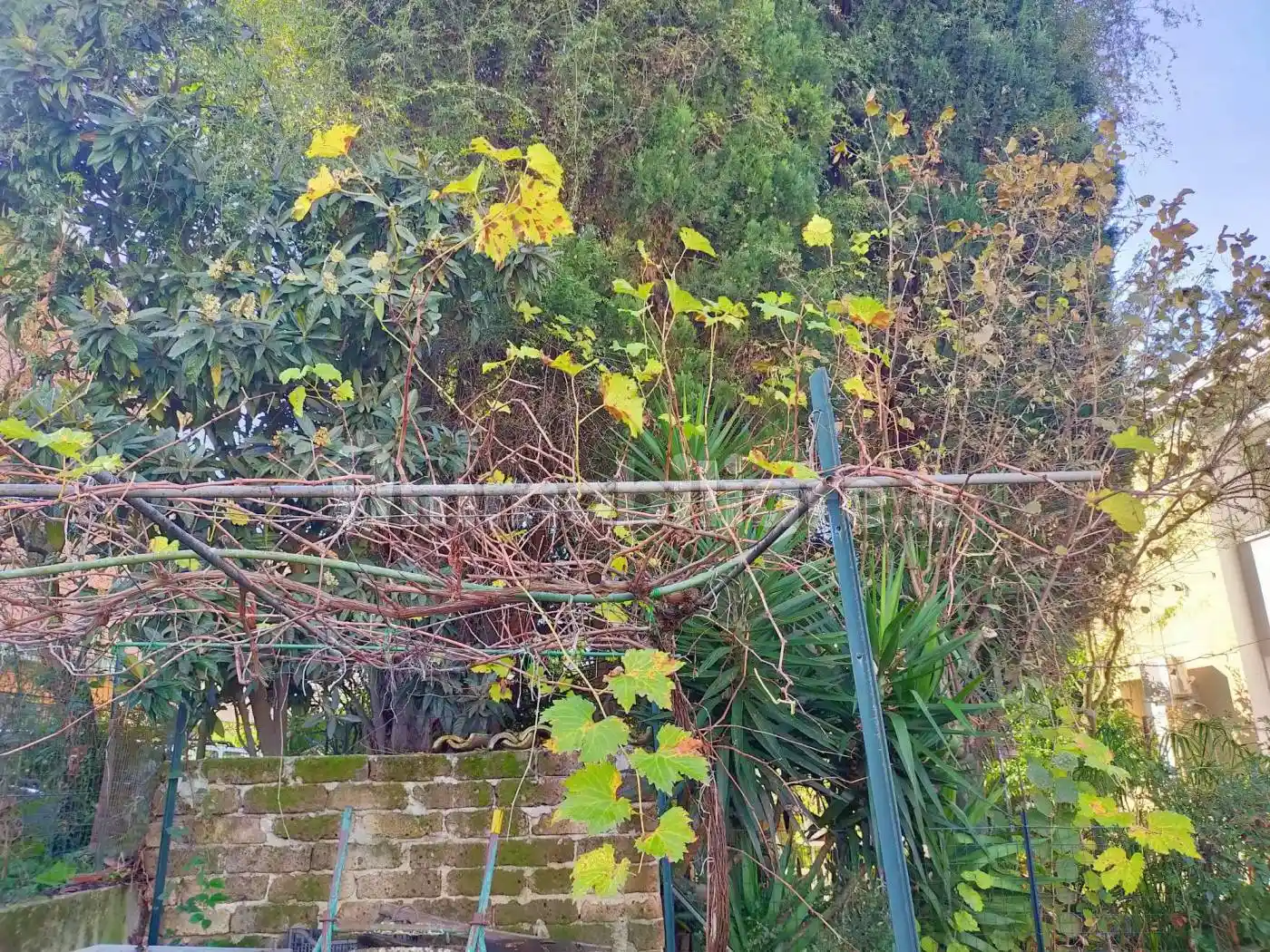 Quadrilocale via Alcide De Gasperi, Manoppello - foto 5