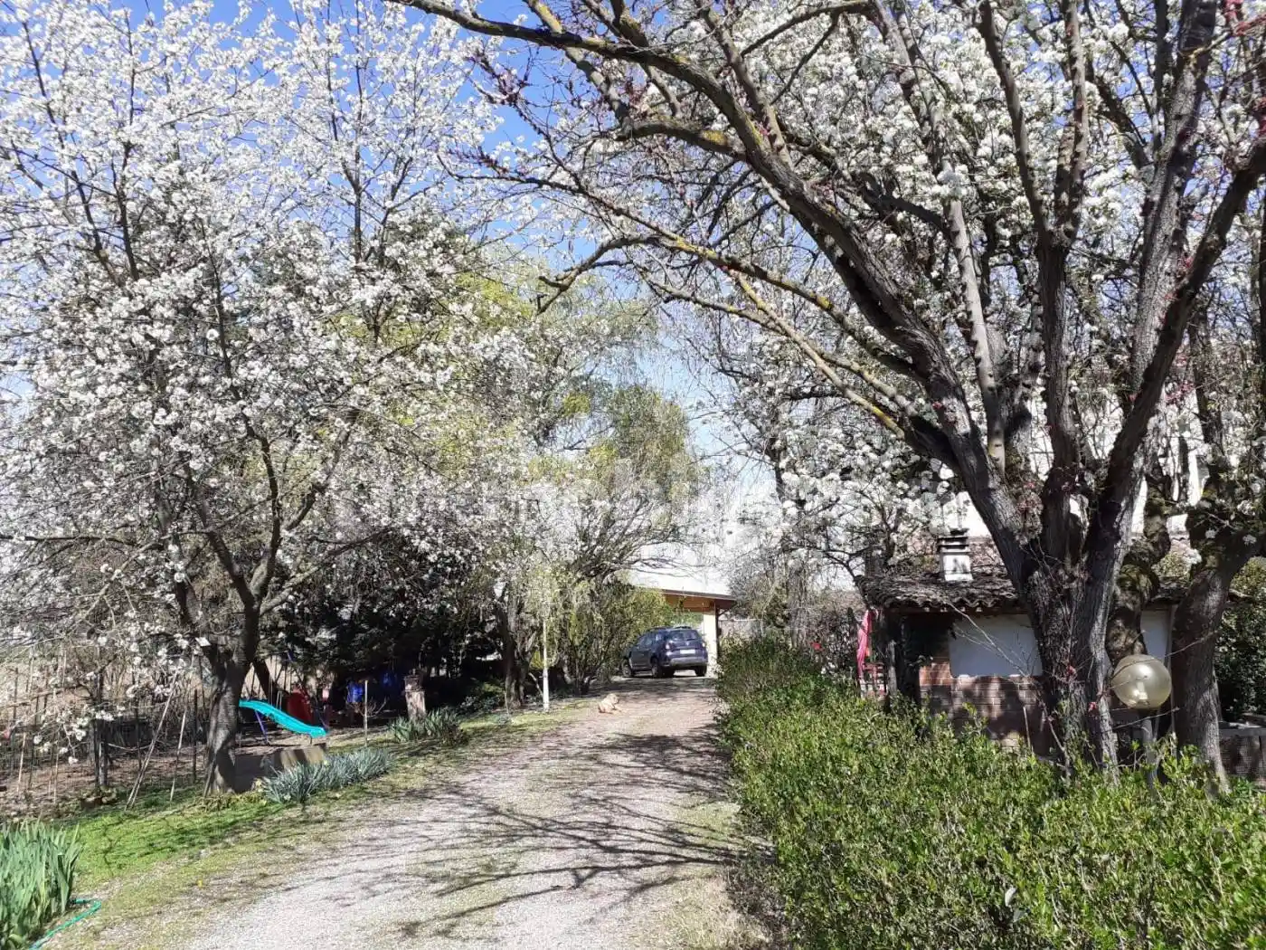 Casale, buono stato, 400 m², Valle San Bartolomeo, Alessandria - foto 5