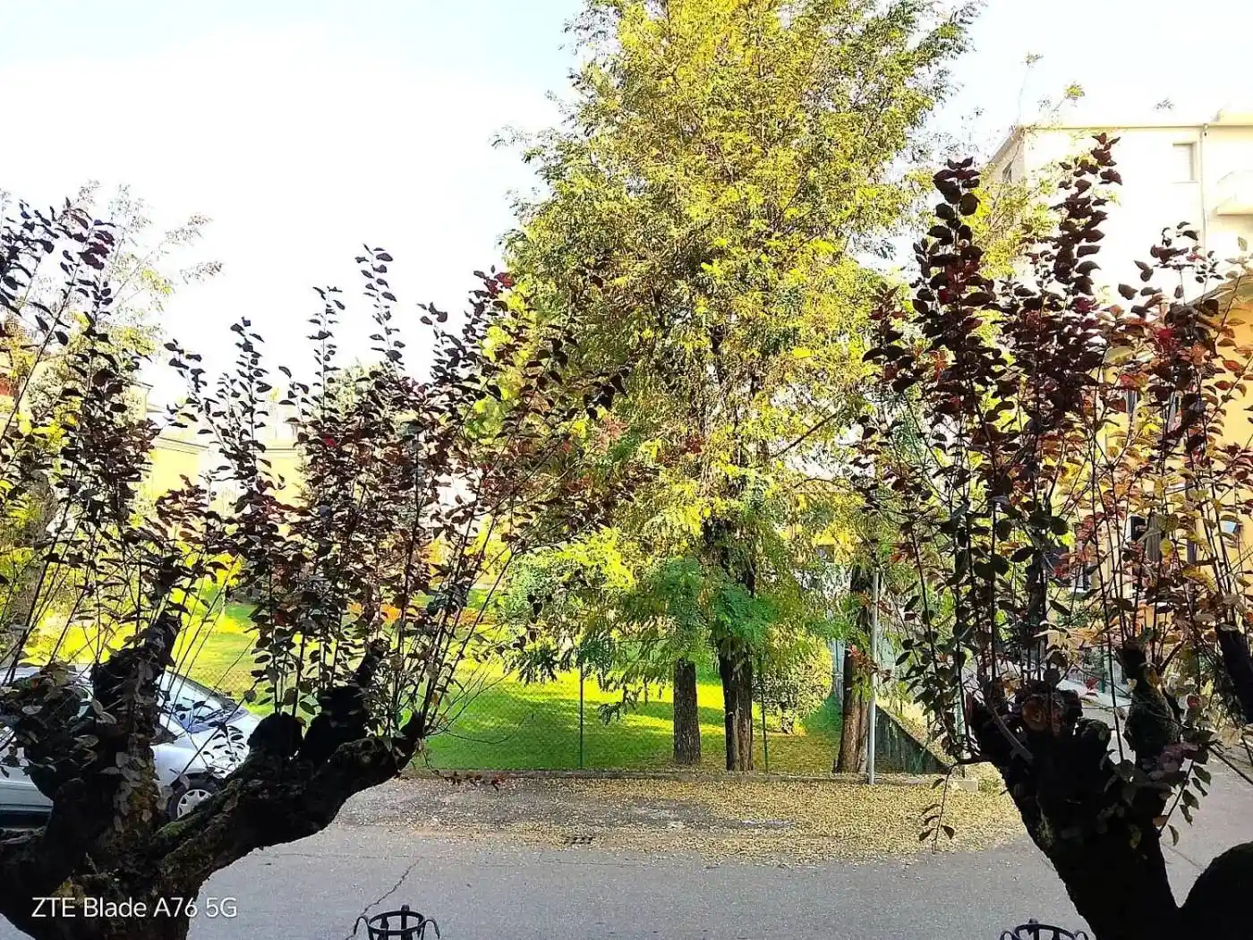 Trilocale via Claudio Treves, San Leonardo, Parma - foto 4