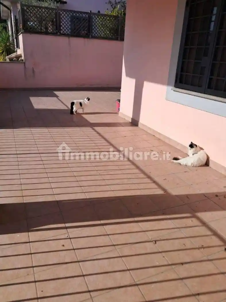 Villa bifamiliare via Anguillarese, Osteria Nuova, Roma - foto 5