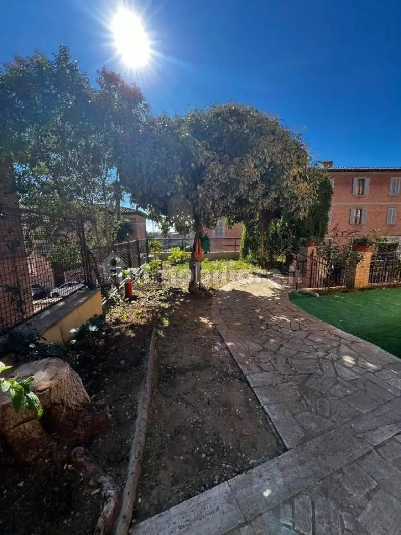 Appartamento in affitto a Siena