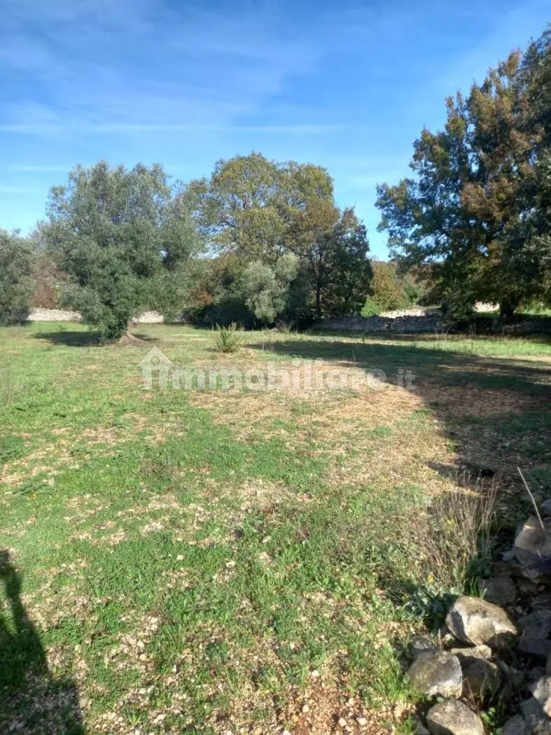 Rustico - Casale in vendita a Locorotondo