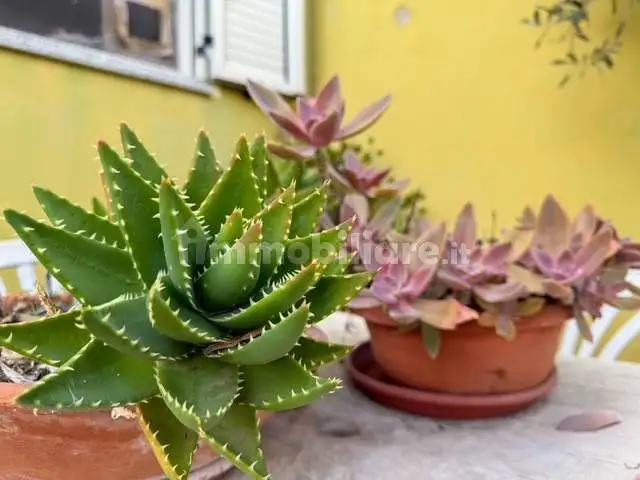 Terratetto unifamiliare Torpè, Centro, Torpè - foto 5