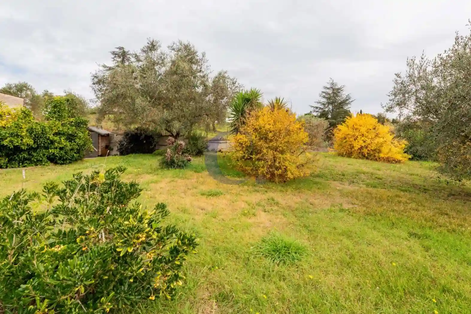 Palazzo - Edificio - foto 5