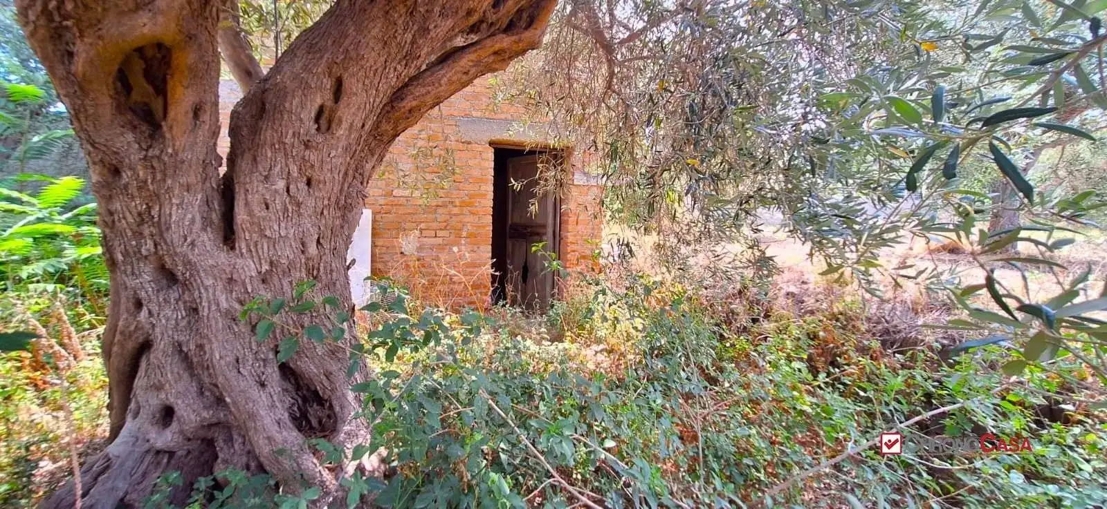 Rustico - Casale in vendita a Messina