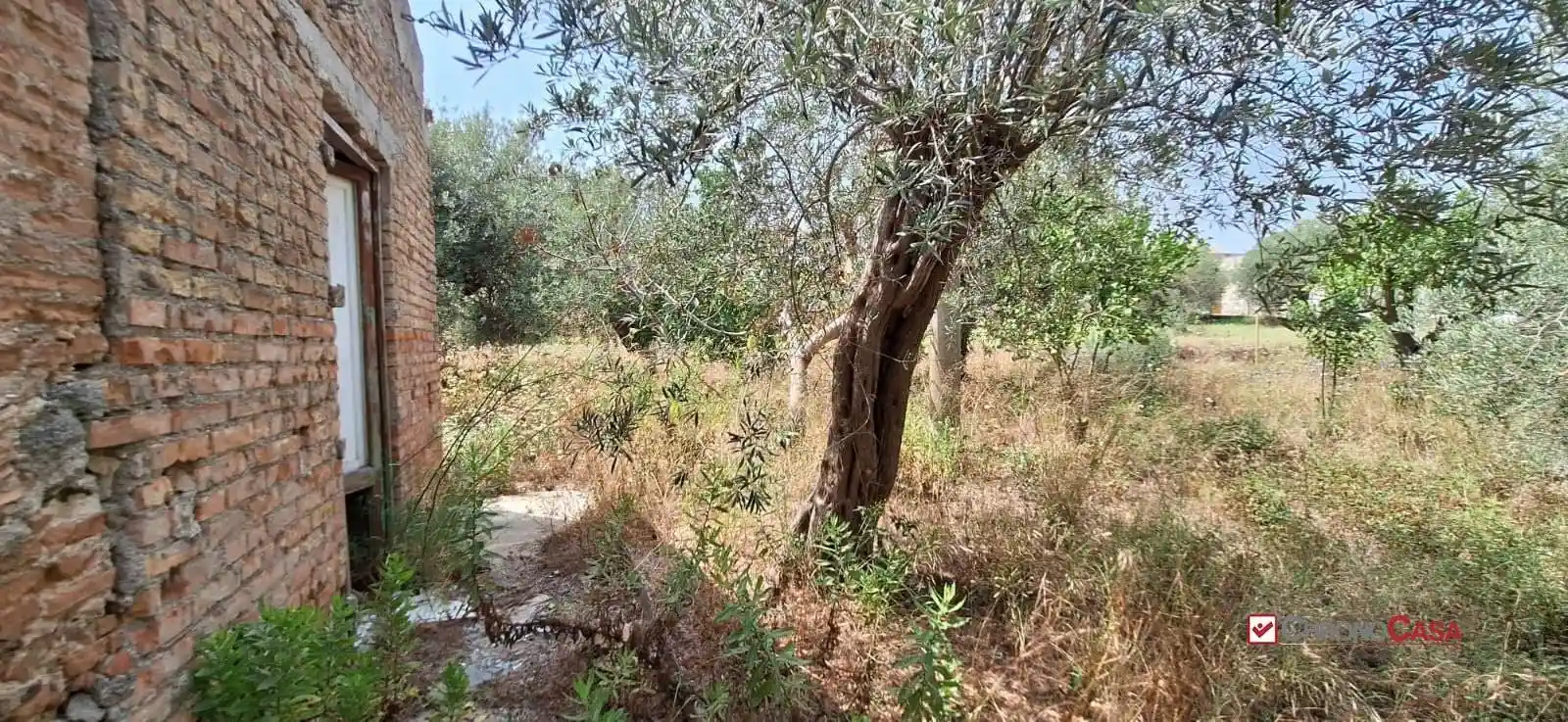 Rustico Spartà s s 113, Gesso, Messina - foto 4